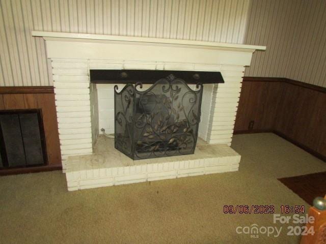 room details with carpet floors and a fireplace