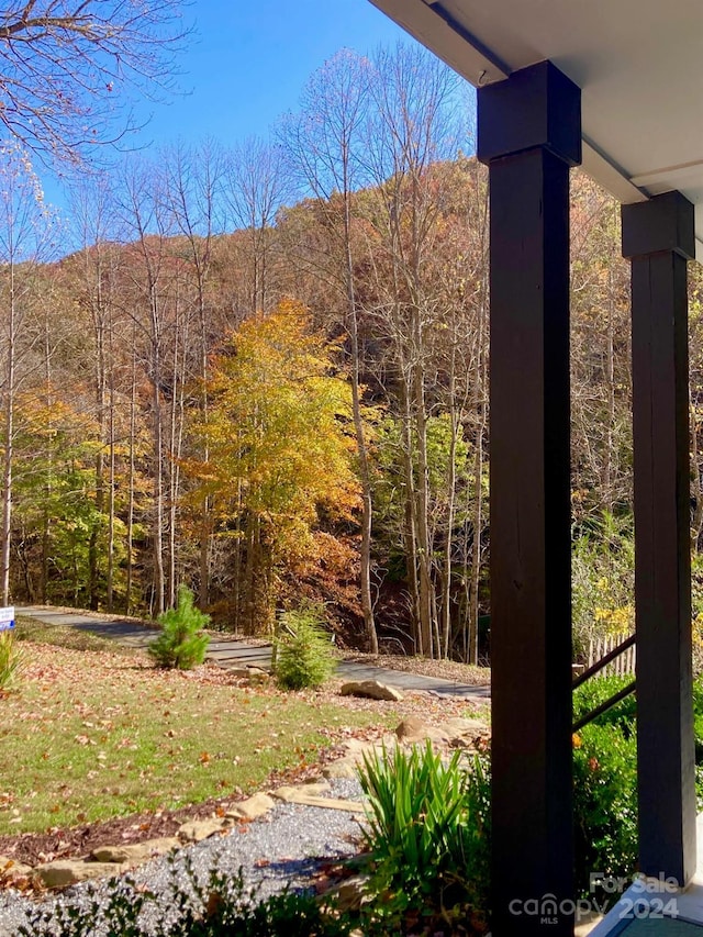 17 Moonlight Trl, Bryson City, NC 28713 - view of yard with a forest view