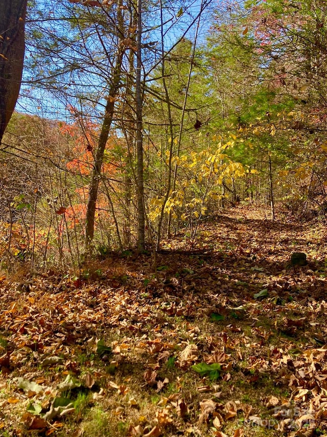 view of nature