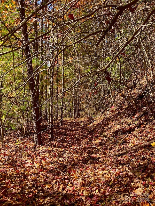 17 Moonlight Trl, Bryson City, NC 28713 - view of undeveloped land