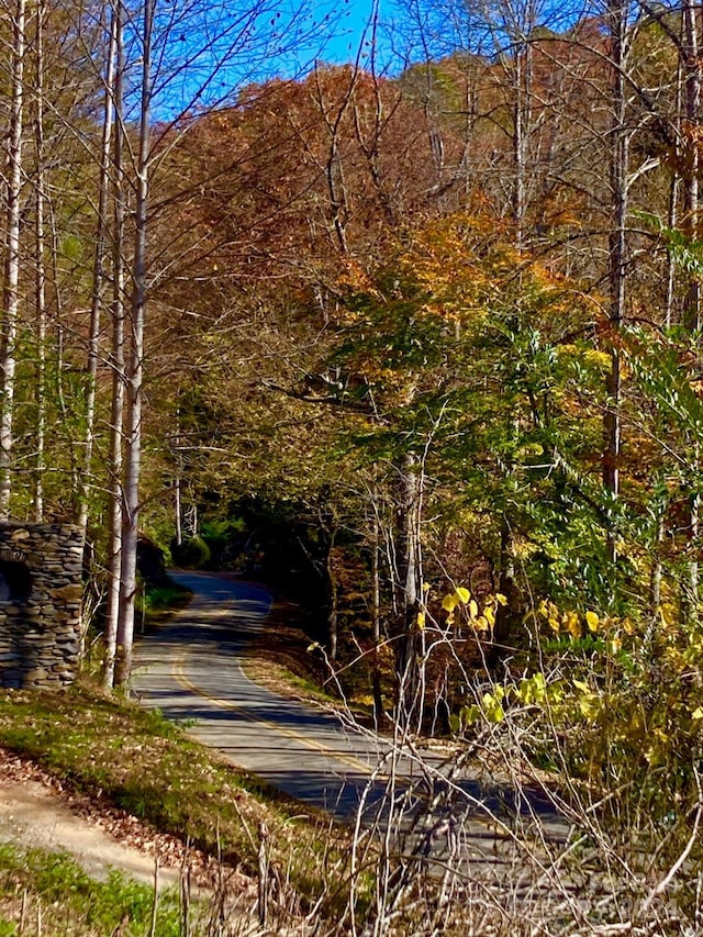 17 Moonlight Trl, Bryson City, NC 28713 - view of road