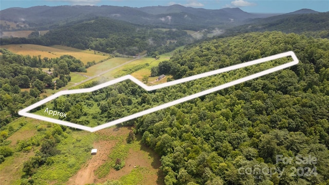 00 Statesville Rd, North Wilkesboro NC, 28659 land for sale