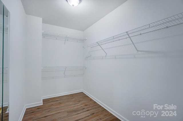 walk in closet featuring hardwood / wood-style floors