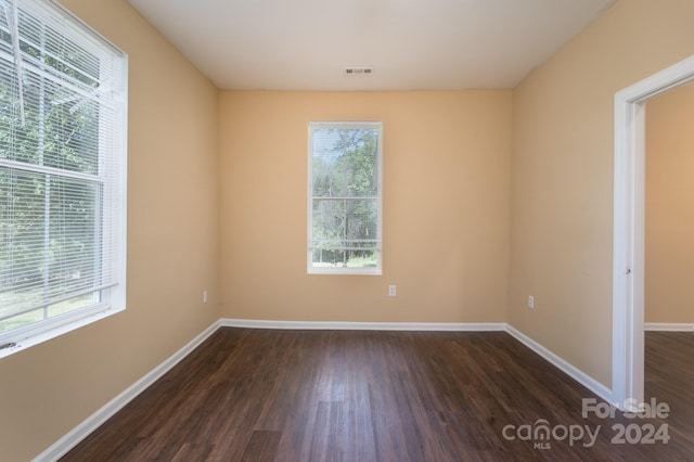 empty room featuring a wealth of natural light and dark hardwood / wood-style flooring