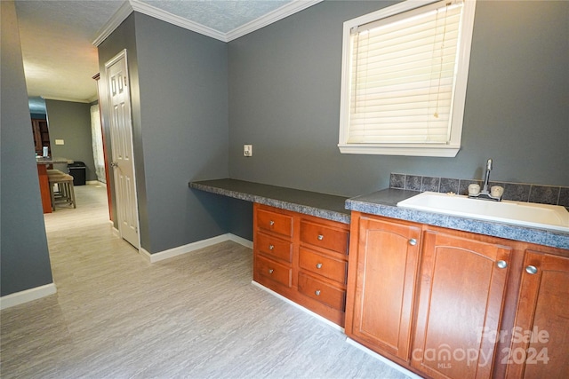 bathroom with sink and ornamental molding