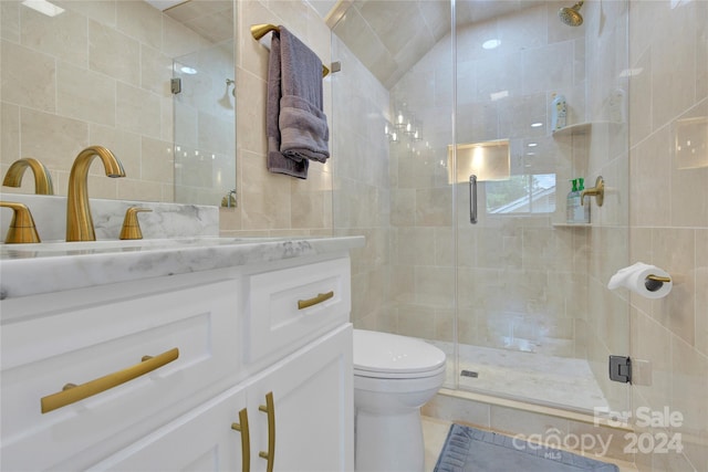 bathroom featuring vanity, toilet, lofted ceiling, and walk in shower