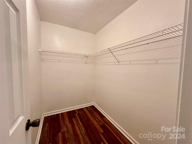 walk in closet with hardwood / wood-style floors