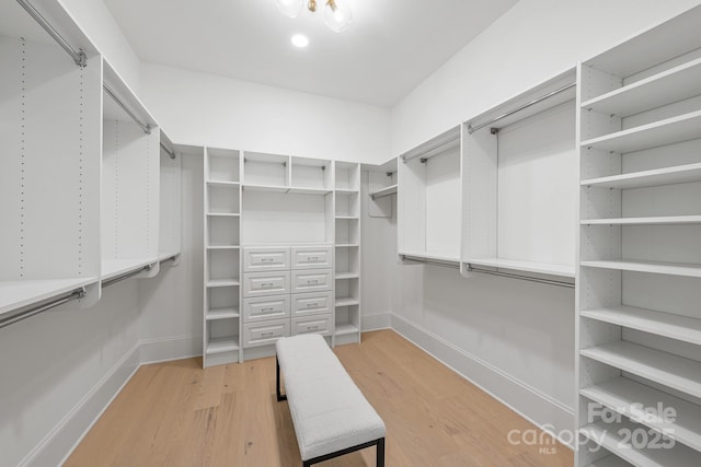 spacious closet featuring light wood-style floors