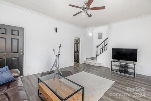 living room featuring crown molding, ceiling fan, and dark wood-type flooring