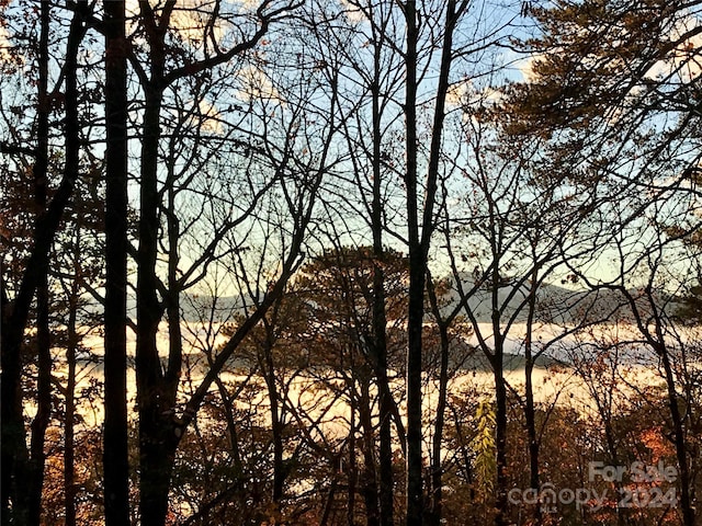 view of nature at dusk