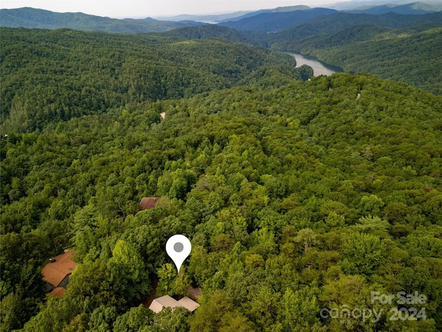 aerial view with a mountain view