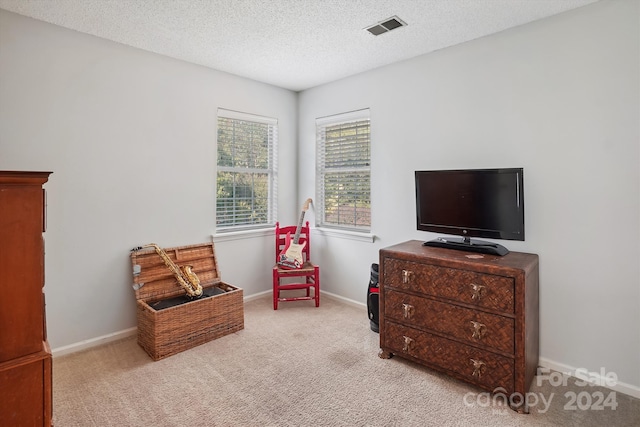 sitting room with light colored carpet and a textured ceiling