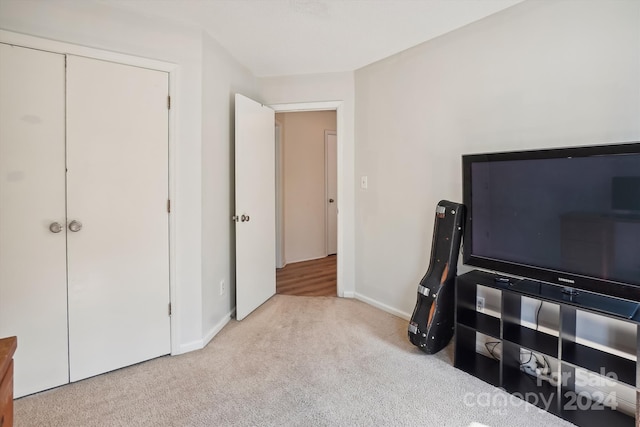 carpeted bedroom featuring a closet