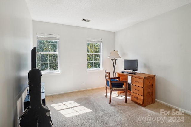 office space featuring light colored carpet and a textured ceiling