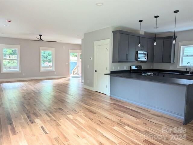 kitchen featuring light hardwood / wood-style floors, stainless steel appliances, hanging light fixtures, and plenty of natural light