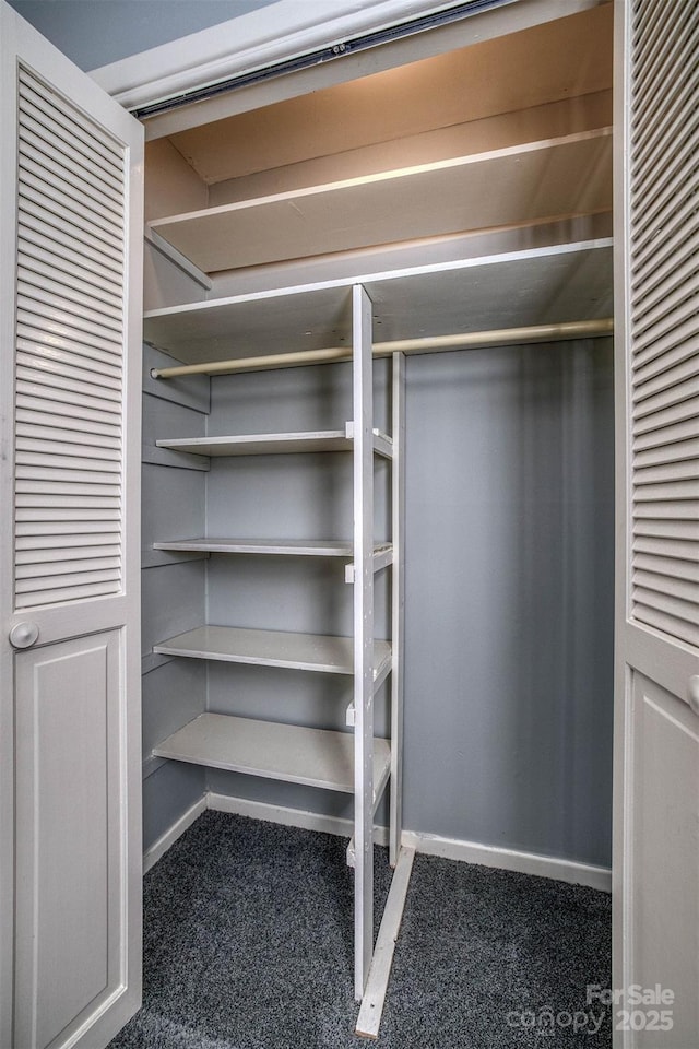 view of closet