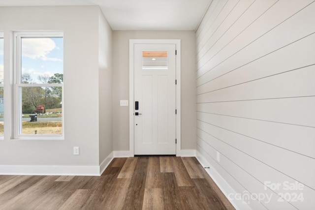 foyer with wooden walls, plenty of natural light, and dark wood-type flooring