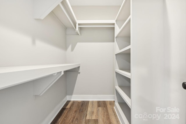 spacious closet with dark hardwood / wood-style floors