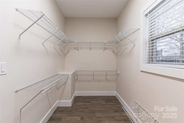 spacious closet featuring dark wood-type flooring