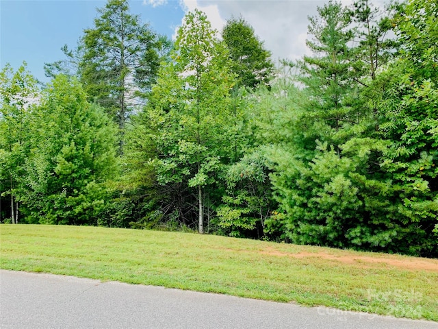 Listing photo 3 for 5673 Rocky Falls Ln Lot 149, Lenoir NC 28645