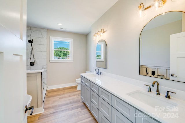 bathroom featuring hardwood / wood-style flooring, vanity, and toilet