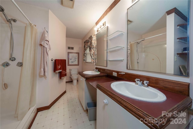 bathroom featuring vanity, curtained shower, and toilet