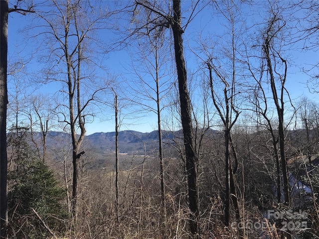 144 Galax Dr Unit T-42, Black Mountain NC, 28711 land for sale