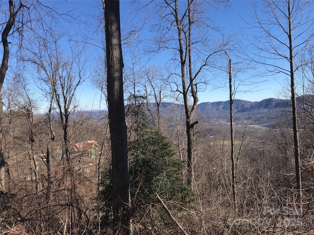 Listing photo 2 for 144 Galax Dr Unit T-42, Black Mountain NC 28711