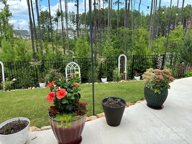 view of yard featuring a patio area