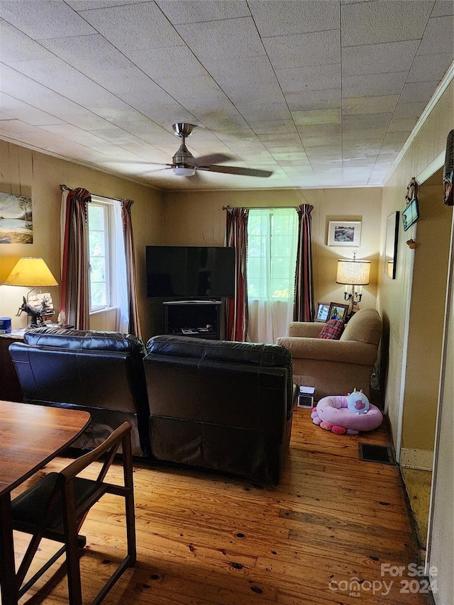 living room with ceiling fan and wood-type flooring