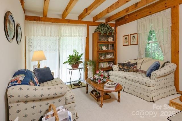 carpeted living room with beam ceiling