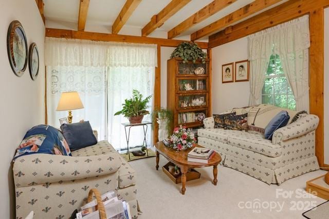 2767 Tanasee Gap Rd, Balsam Grove, NC 28708 - living area featuring beamed ceiling and carpet floors