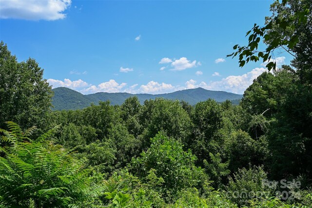 29 Grovepoint Way Unit 9, Asheville NC, 28804 land for sale