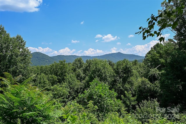 29 Grovepoint Way Unit 9, Asheville NC, 28804 land for sale