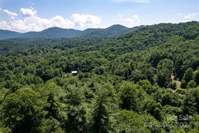 Listing photo 2 for 29 Grovepoint Way Unit 9, Asheville NC 28804