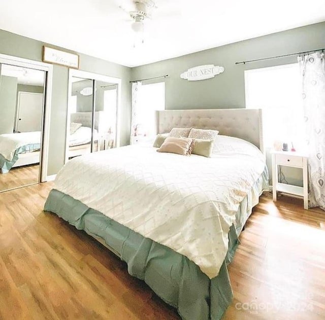 bedroom featuring ceiling fan, wood-type flooring, and multiple closets