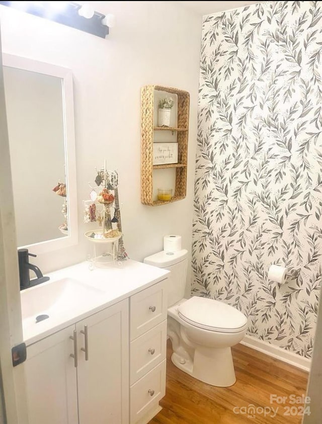 bathroom featuring toilet, wood-type flooring, and vanity