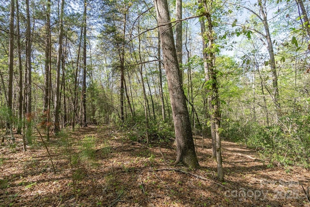 V/L Easy St Unit 11And 12, Lake Lure, NC 28746