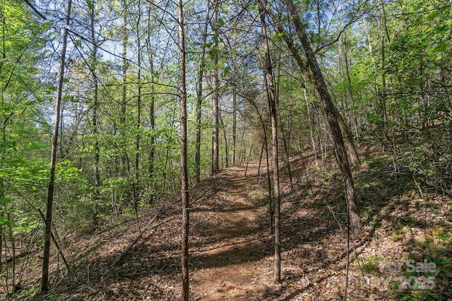 V/L Easy St Unit 11And 12, Lake Lure, NC 28746