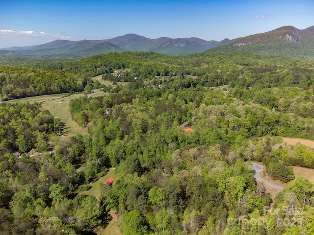 V/L Easy St Unit 11And 12, Lake Lure, NC 28746
