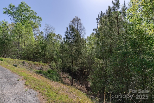 V/L Easy St Unit 11And 12, Lake Lure, NC 28746