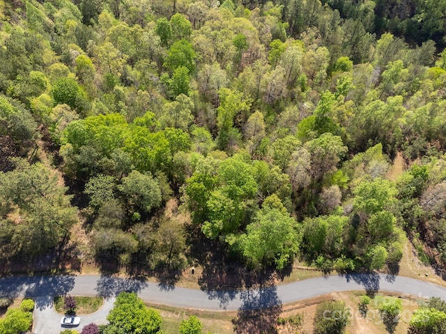V/L Easy St Unit 11And 12, Lake Lure, NC 28746