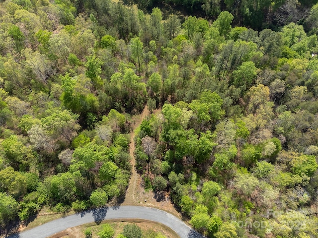 V/L Easy St Unit 11And 12, Lake Lure, NC 28746