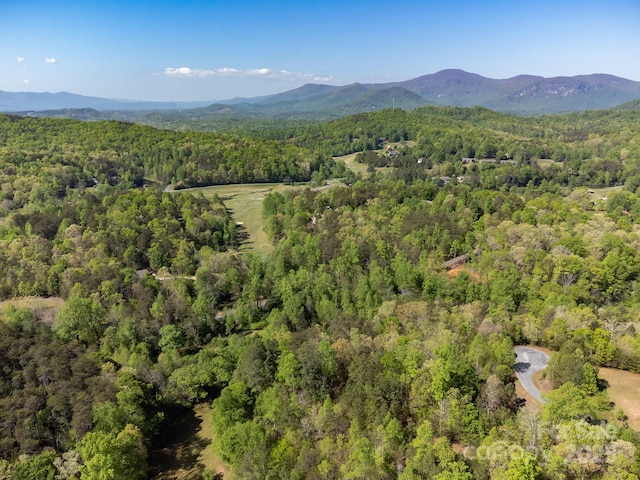V/L Easy St Unit 11And 12, Lake Lure, NC 28746
