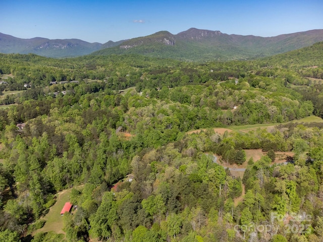 V/L Easy St Unit 11And 12, Lake Lure, NC 28746