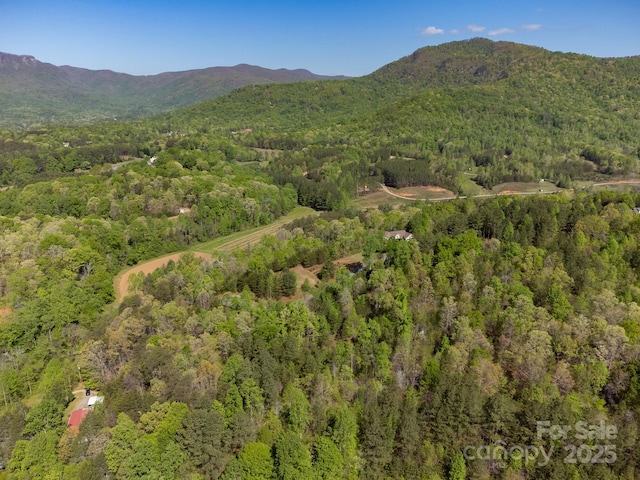 V/L Easy St Unit 11And 12, Lake Lure, NC 28746