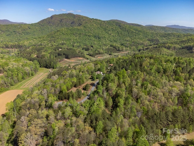 V/L Easy St Unit 11And 12, Lake Lure, NC 28746