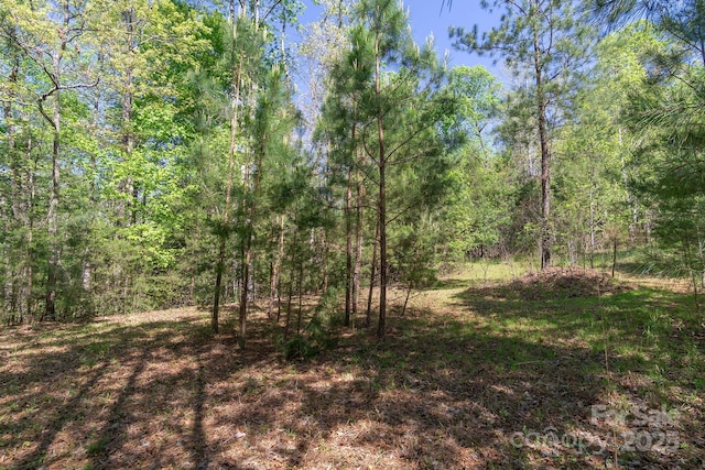 V/L Easy St Unit 11And 12, Lake Lure, NC 28746 - photo 4