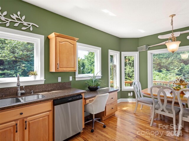 kitchen with light hardwood / wood-style floors, dishwasher, and plenty of natural light