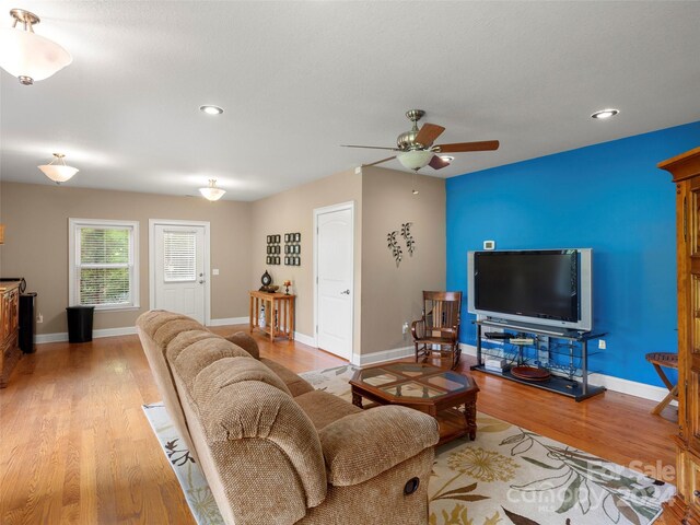 living room featuring ceiling fan and wood-type flooring